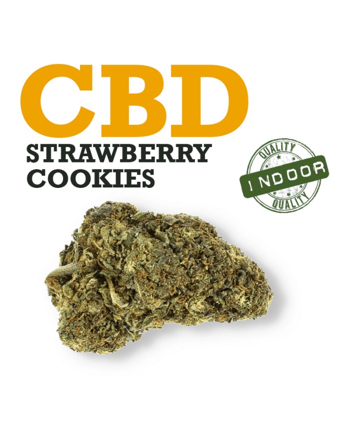 Cogollos de CBD. Comprar Flores de CBD